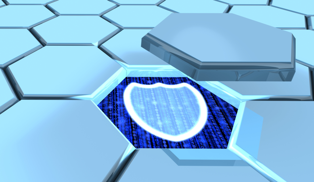 Patch Management IT Sicherheit, Net Professionals