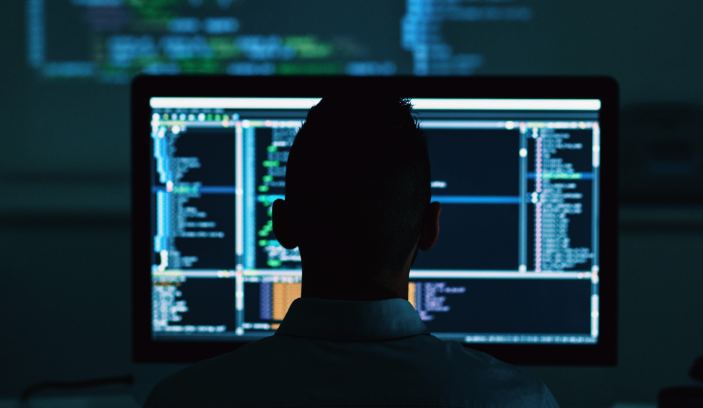 Individuelle Softwareentwicklung, Net Professionals